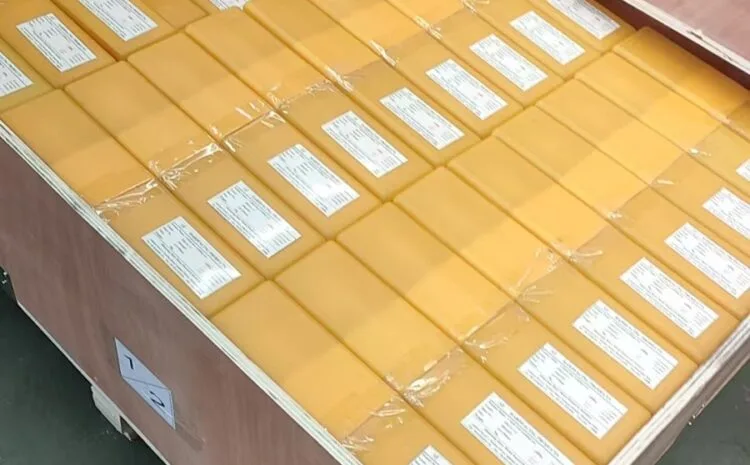 WhatsApp Image 2025-09-26 at 11.59.30 AM (1)