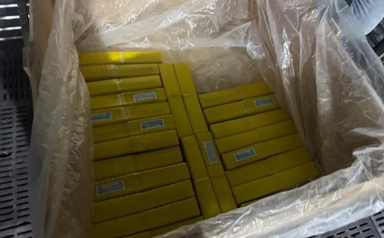 WhatsApp Image 2025-09-26 at 11.59.30 AM